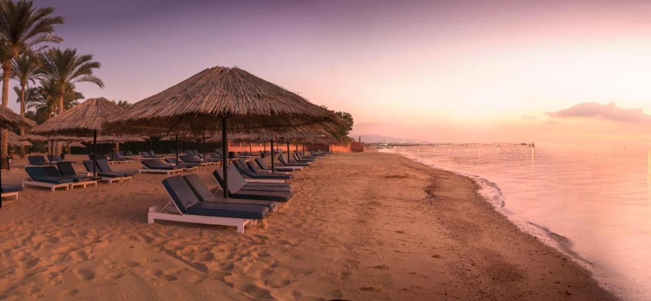 Palmera Owners Vacation Group Families Only Ain Suchna